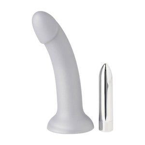 Nood Colours Silver Dildo With Bullet Vibrator (#272424)